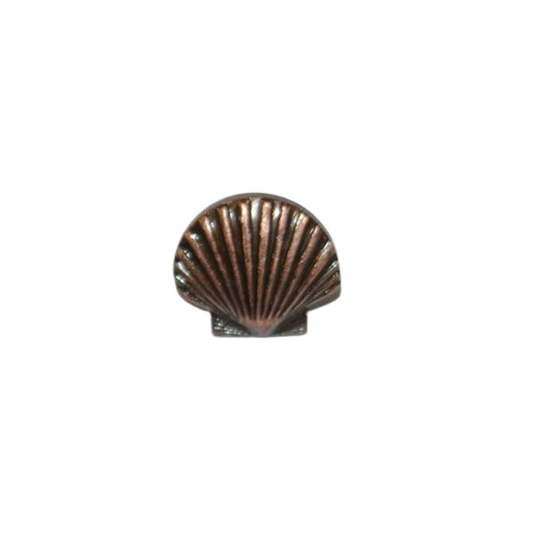 St Thomas Of Acon Shell - Small Bronze